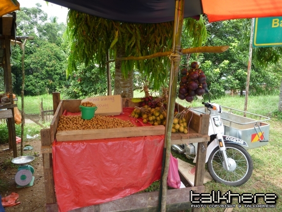 P1000073.JPG