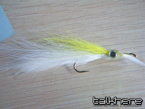 DSCF5368.JPG