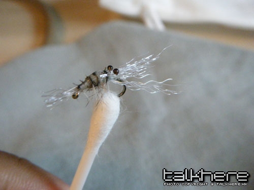 DSCF5373.JPG