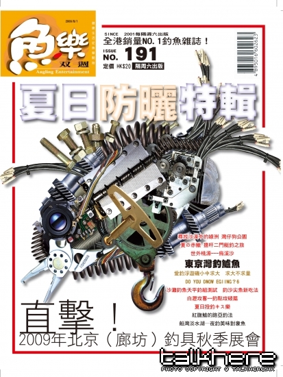 191 cover.jpg