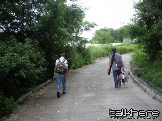 IMGP5425.JPG