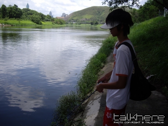 IMGP5469.JPG