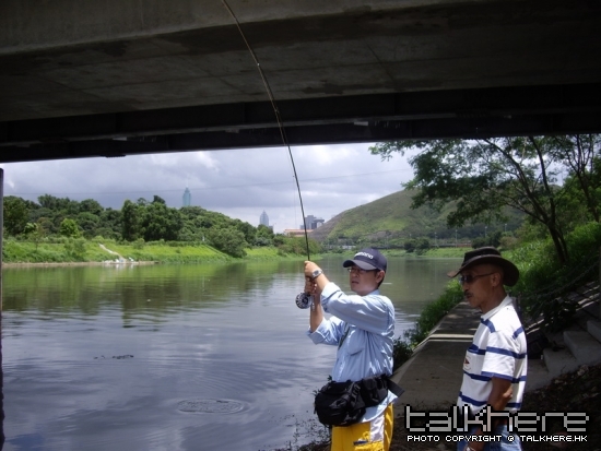 IMGP5436.JPG