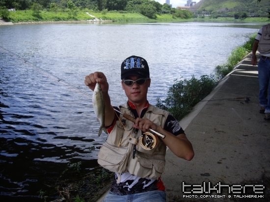 IMGP5459.JPG