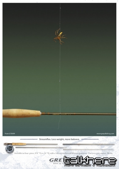Hardy-Greys-Spider.jpg