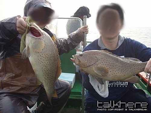 ap_20080318070639944.jpg