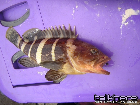 DSCN6287.JPG