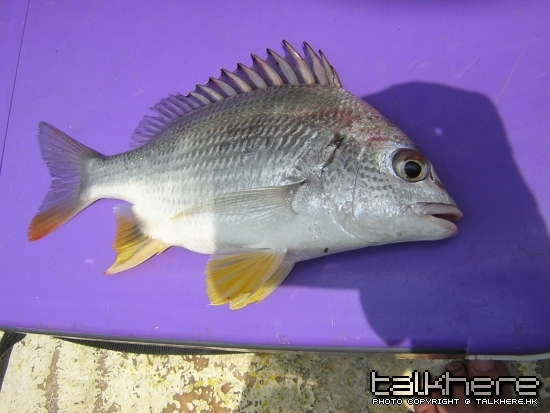 DSCN6285.JPG