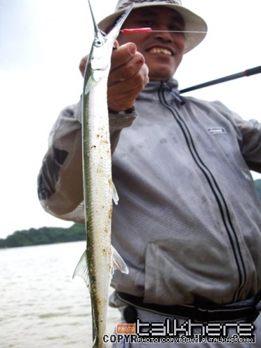 20080719_87b76d372b2cc3535736diaGs7kJlek0.jpg