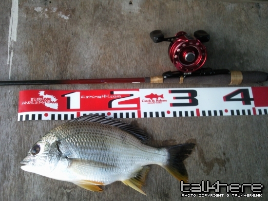 相片-0068.jpg