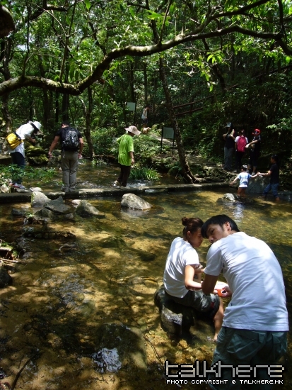 P1080731.jpg