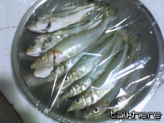 DSC00938.JPG