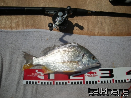 DSCN1425.JPG