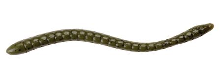 Shaky Worm GFW.JPG