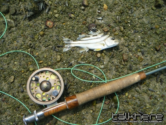 DSCF5521.JPG