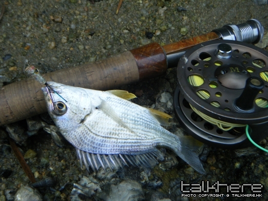 DSCF5519.JPG