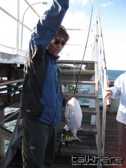 unknow fish.jpg