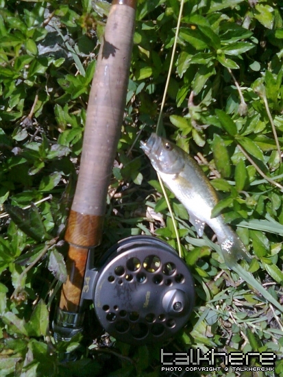 Image0022.jpg