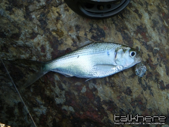 DSCF5577.JPG