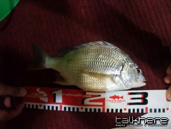 DSCF1839_調整大小.JPG