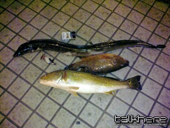 20090918117.jpg