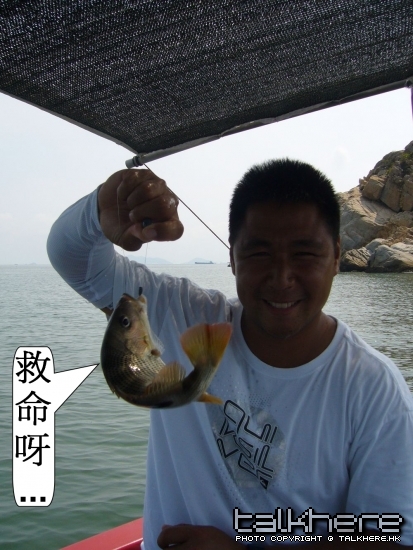 P1000249.jpg