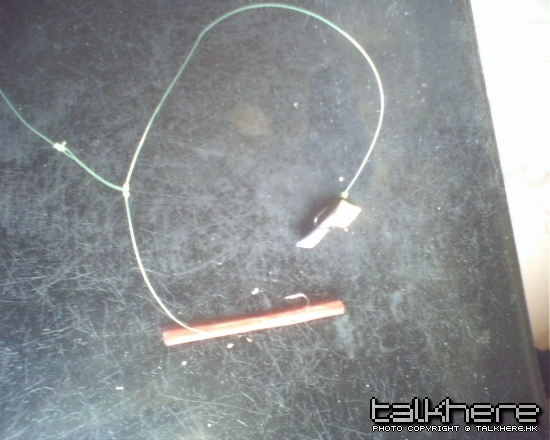 IMG0440A.jpg