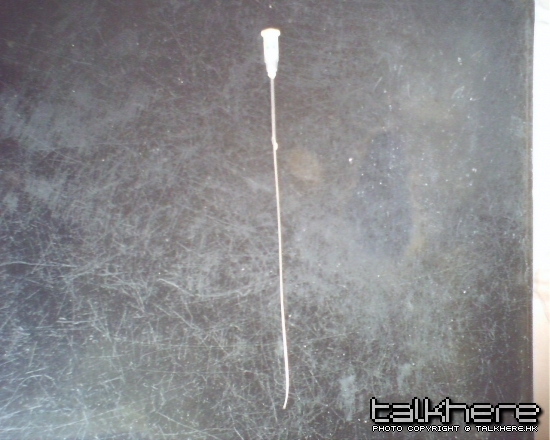 IMG0436A.jpg