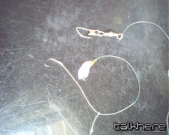 IMG0431A.jpg