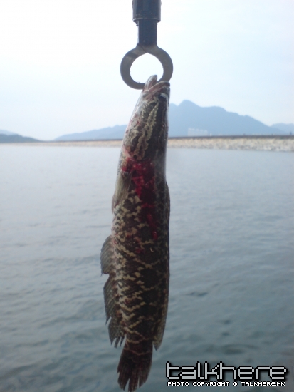 DSC00144.JPG
