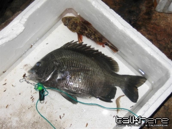 IMG_6093 (Medium).JPG