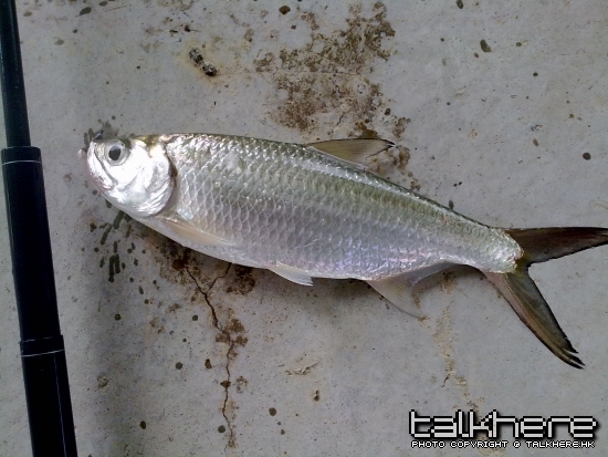 200910161027.jpg