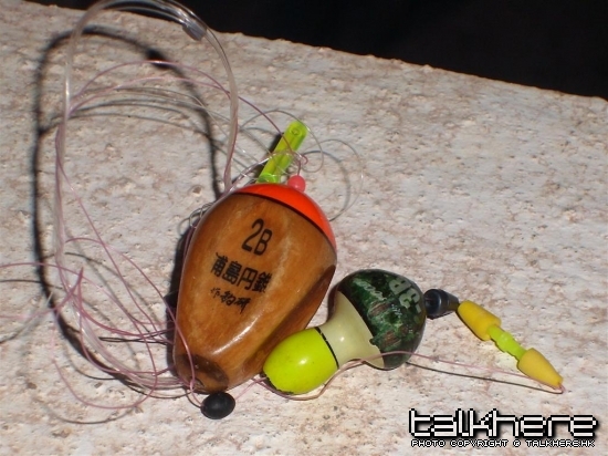 SL270130.JPG