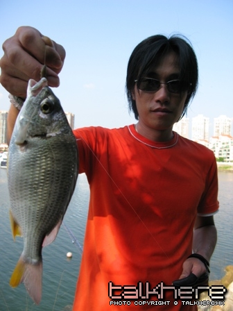 IMG_4316.JPG