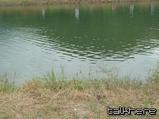P1010326.JPG