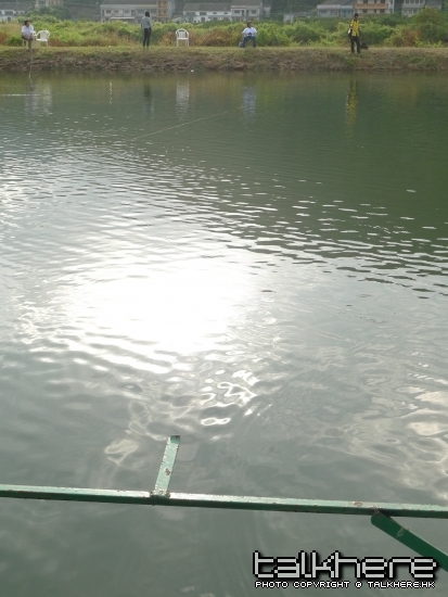 P1010357.JPG