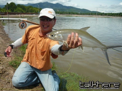 milkfish