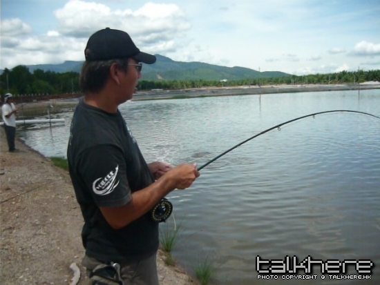 milkie on fly