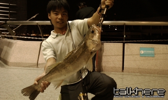 IMAG0170.jpg
