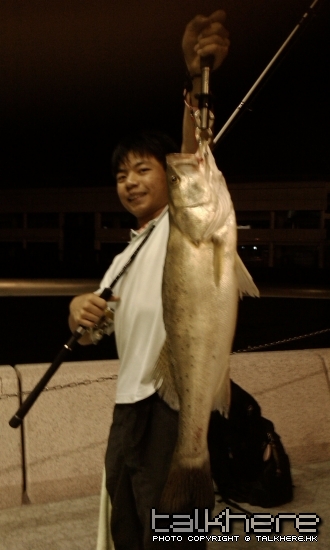 IMAG0169.jpg