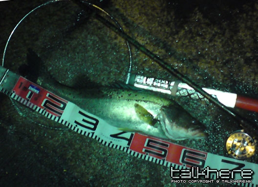 20091126_54ae6b108e964d828c87IOzrlOiJCtS1.jpg