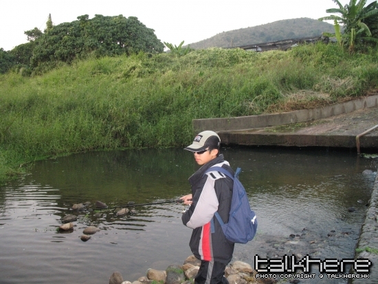 fish 049.jpg