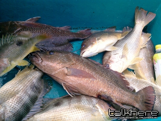 P101009_14.27_[02].jpg