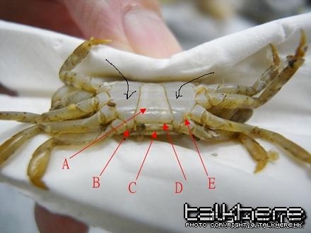 0912082236efc1df8cf732edcb.jpg
