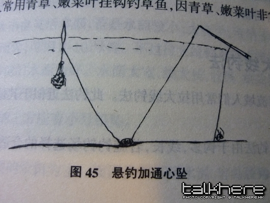 6.JPG
