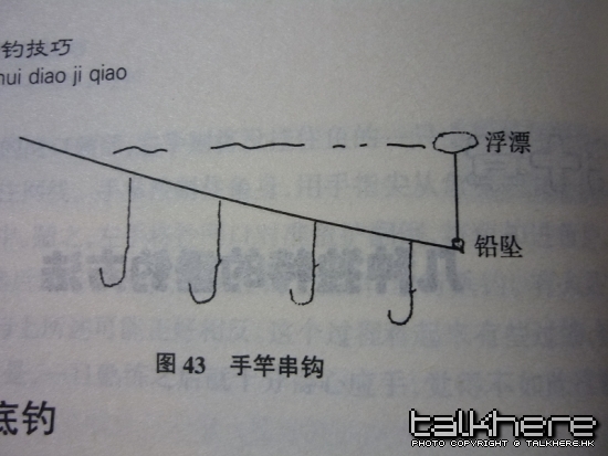 5.JPG