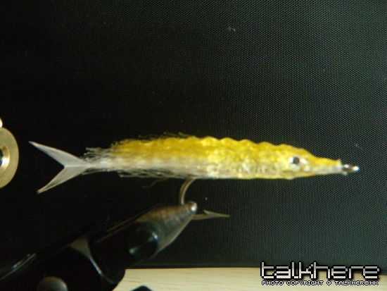 DSCF5835.JPG