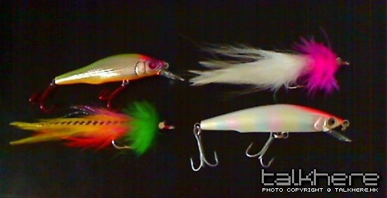 Picture 45.jpg