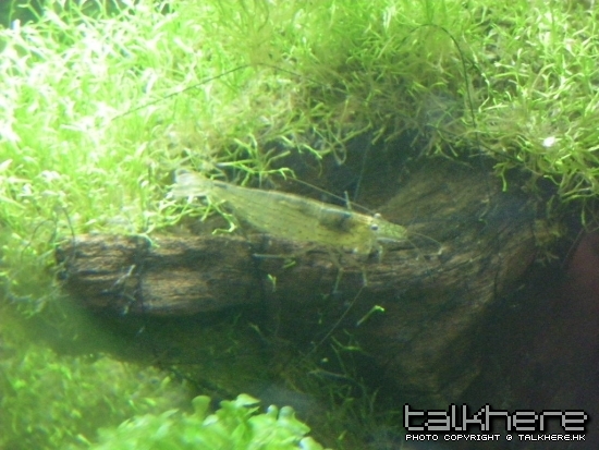 DSCN1804.JPG