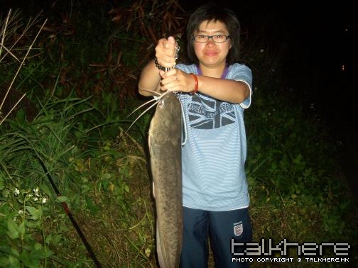 同行釣友鯽竿中70cm塘虱